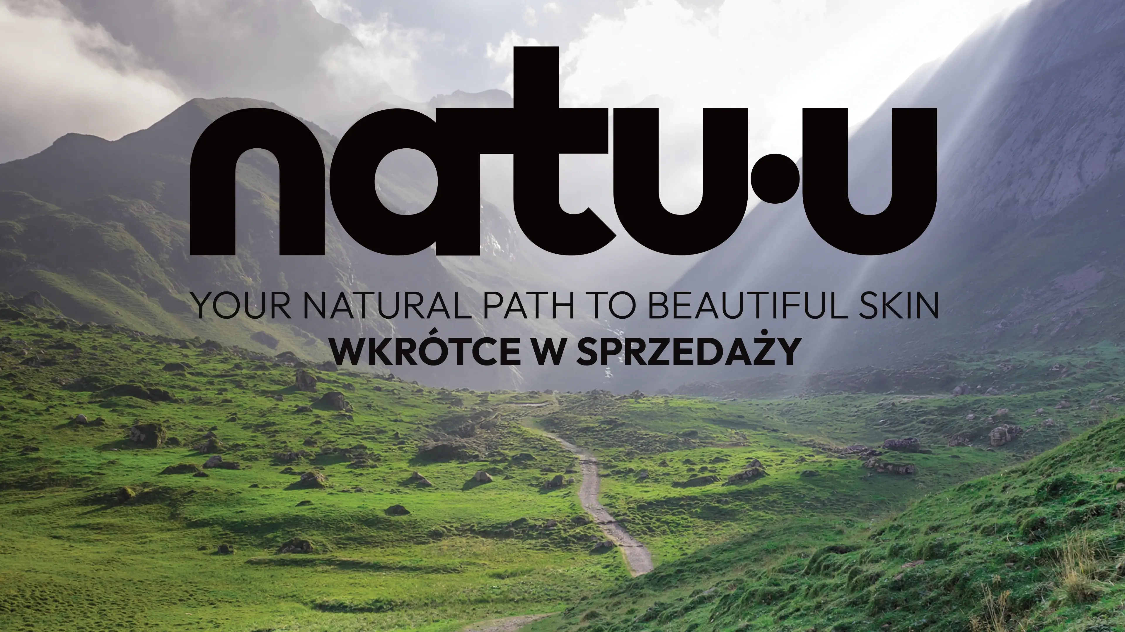 Tło - duże zdjęcie